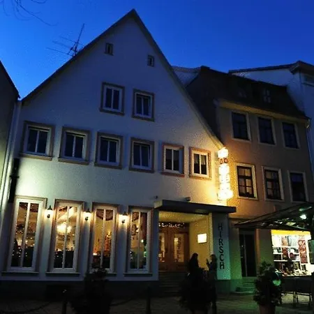Hotel Hirsch Garni-3